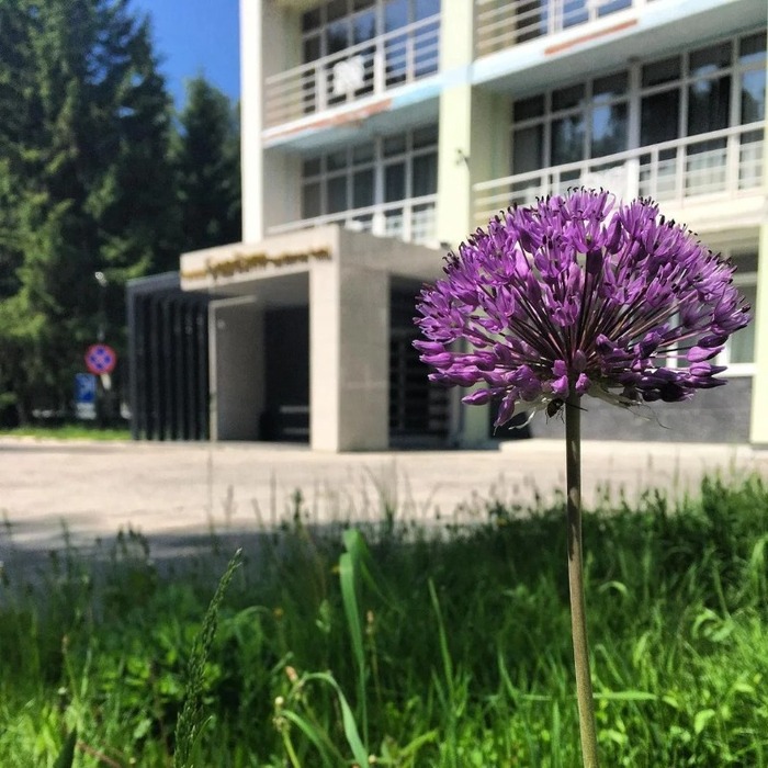 Кантри-отель "Березки" | 