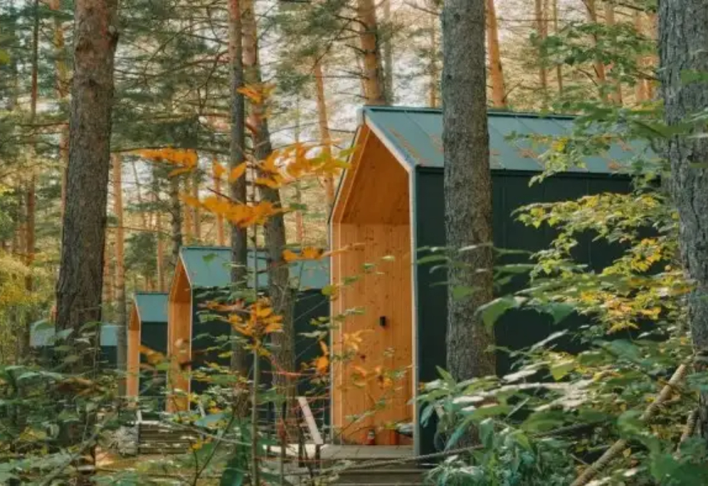 Гостиничный комплекс "GRAND CHALET ALTAY" |