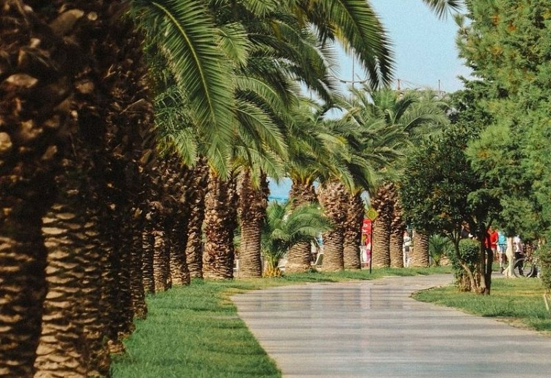 Отель "Opus Batumi" |