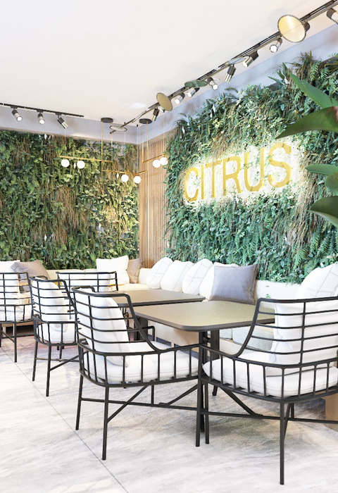 Отель "Citrus" |