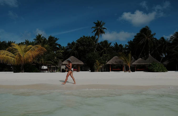 Туроператор Дельфин www.delfin-tour.ru