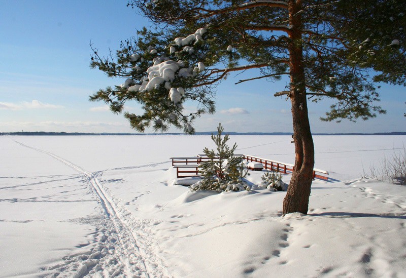 "Рождество на загородной базе "Алёкка" (4 дн./3 н.), 03.01-06.01, 06.01-09.01 |