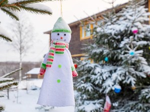 Новогодний Тур В Петрозаводск