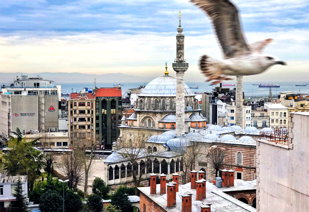 Стамбул путевки цены 2024